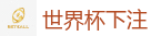 2026 FIFA 世界杯(下注)官方中文站